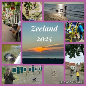 Mehr über den Artikel erfahren Zeeland 13.-19. September 2025